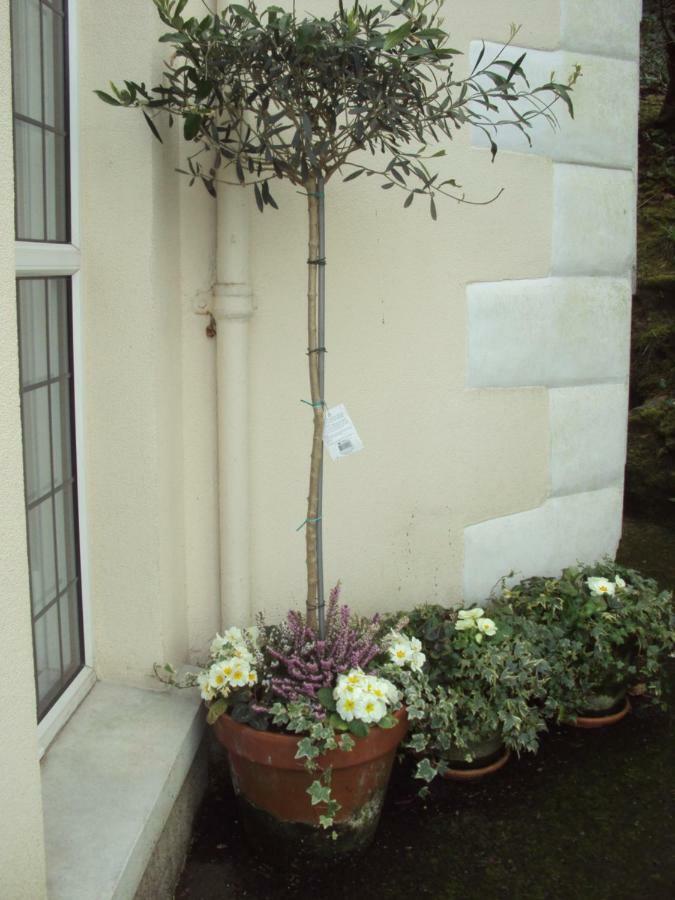 루 Woodlands B&B 외부 사진